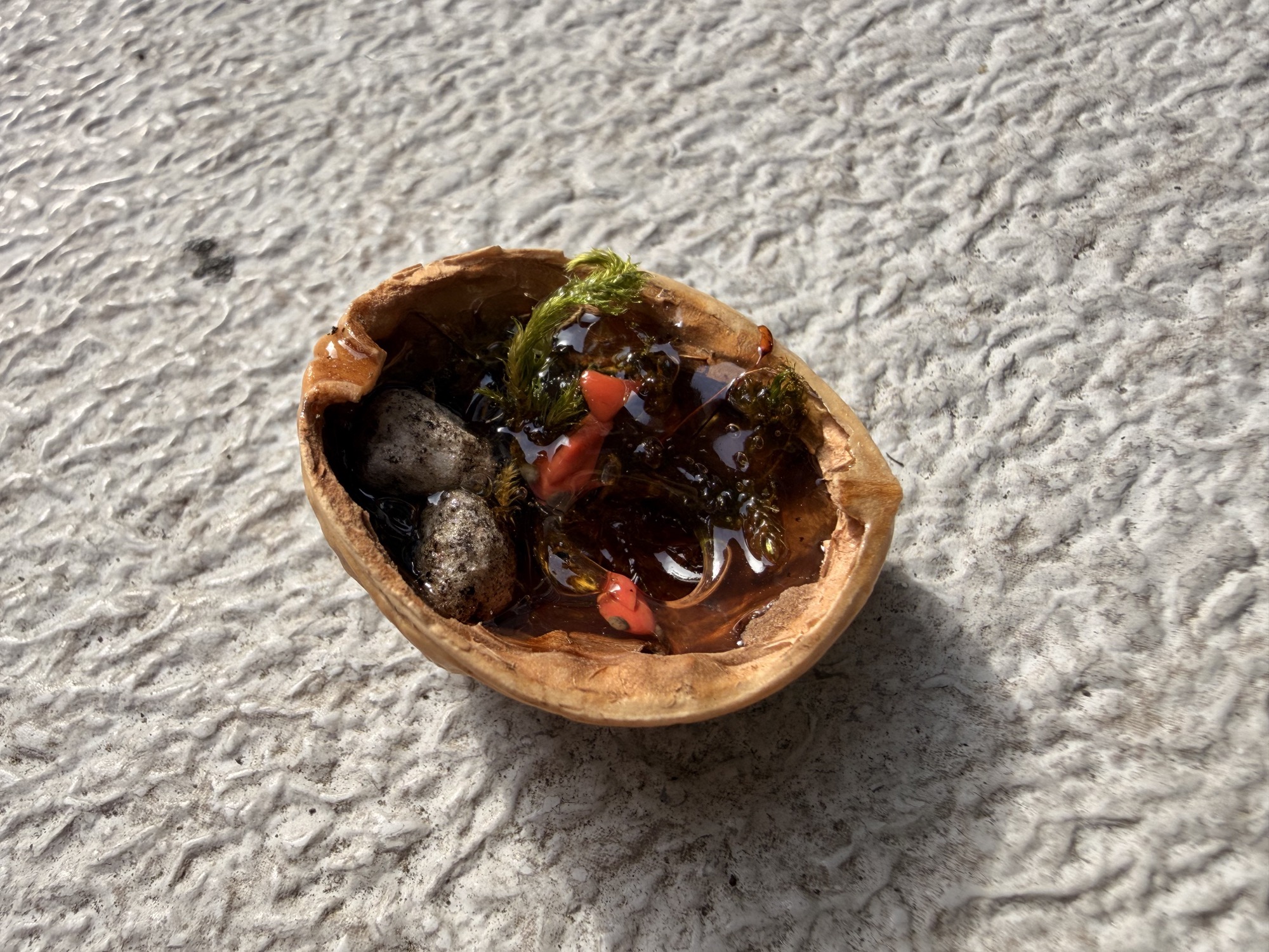 A tiny nature scene with moss and miniature details inside a walnut shell